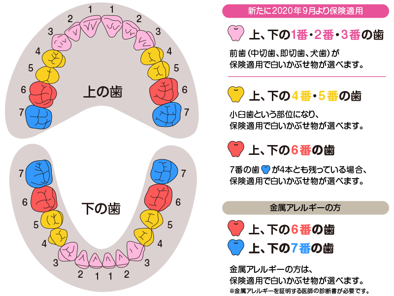 小児のPoint of Care Ultrasound(ピーオーシーユー) エコーでABCDを評価しよう!／日本小児集中治療研究会